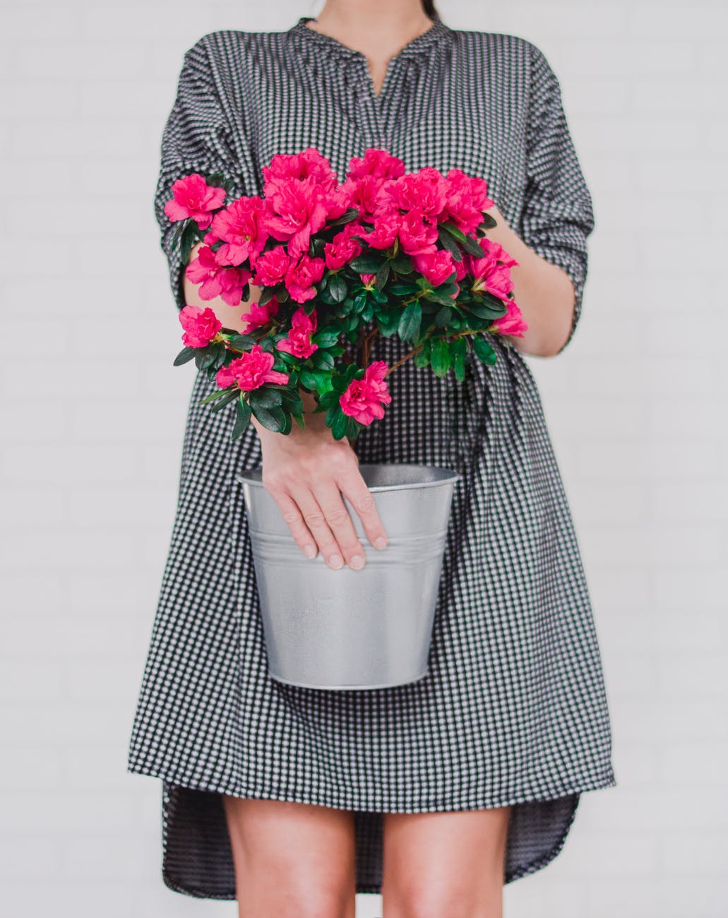 women s black and white midi dress