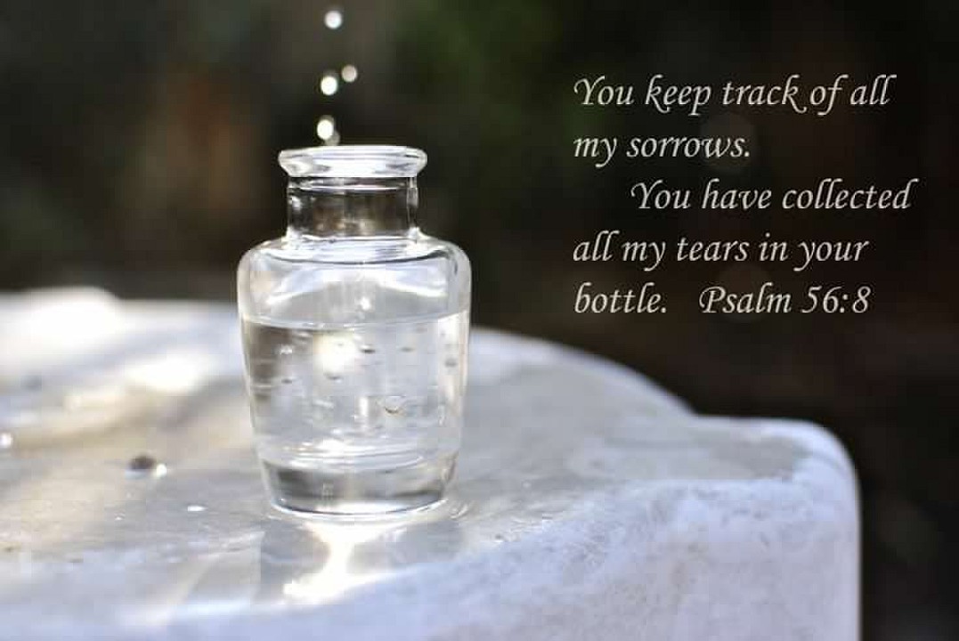 psalm 56-8