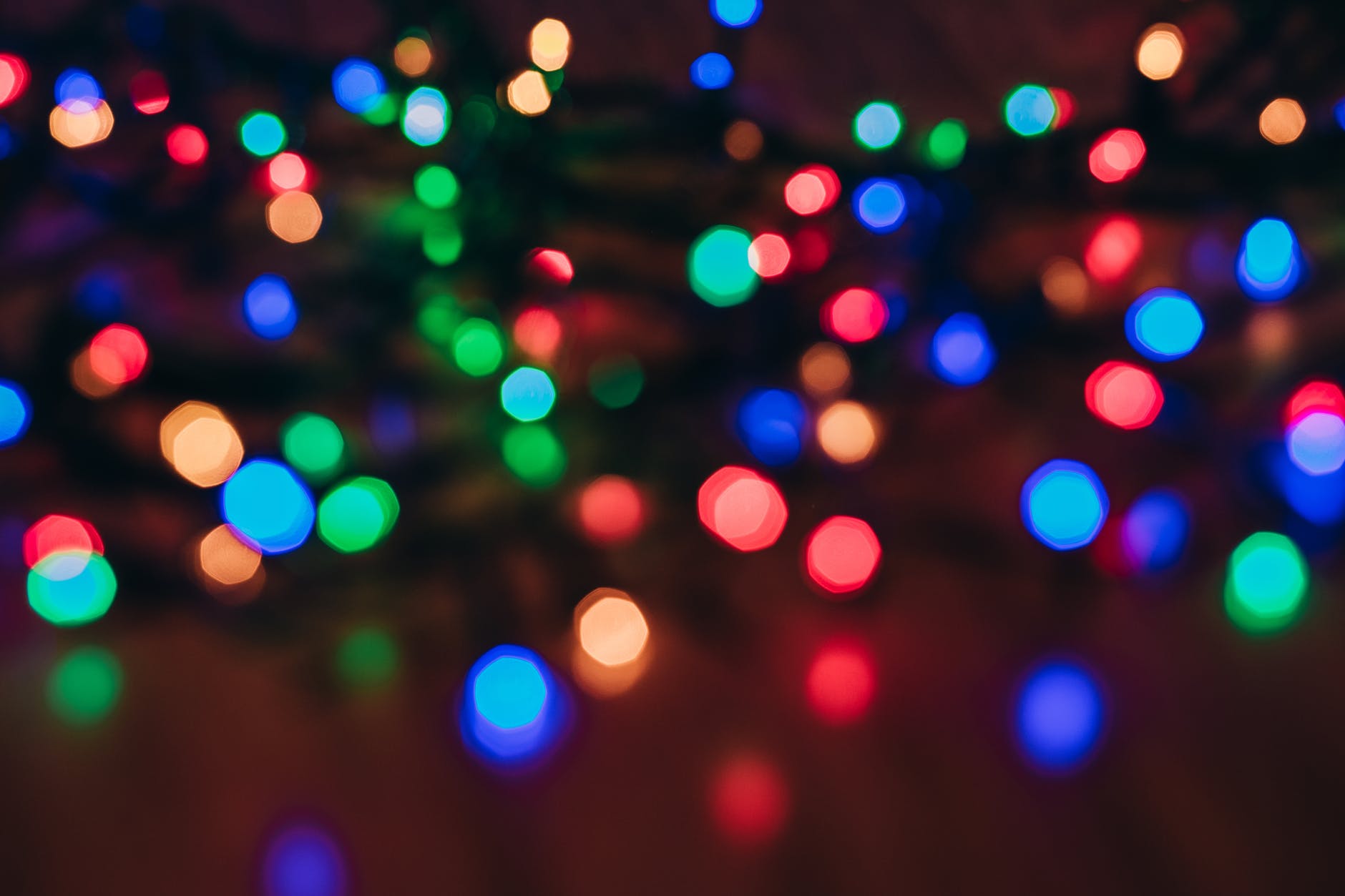 photo of string lights
